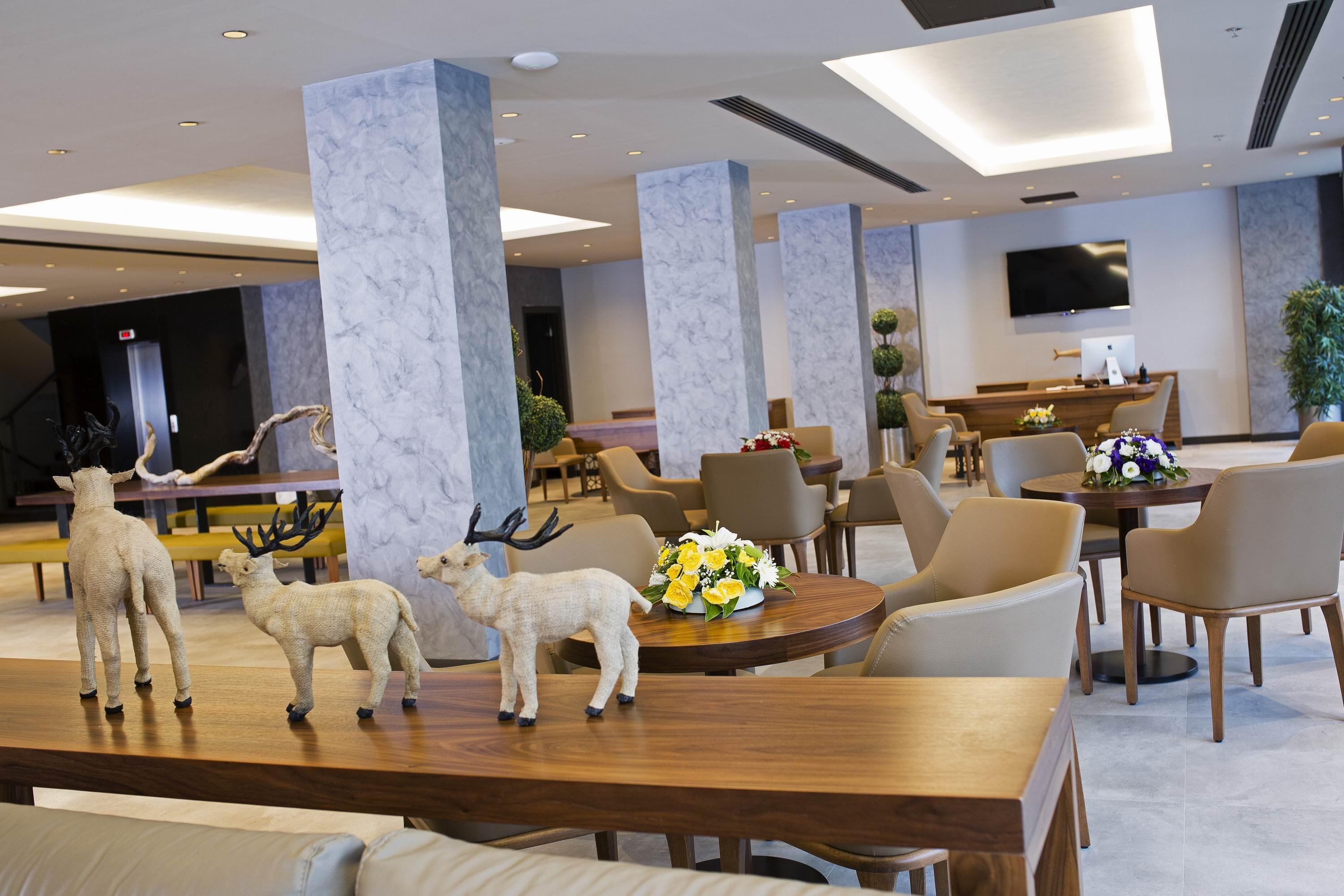 Mirage World Hotel 이크멜러 외부 사진
